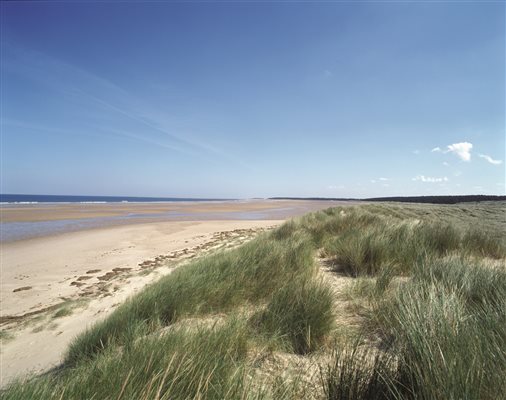 Holkham beach sand dunes